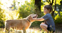 Día del animal: dormir con el perro es una tendencia en crecimiento, pero ¿es aconsejable?