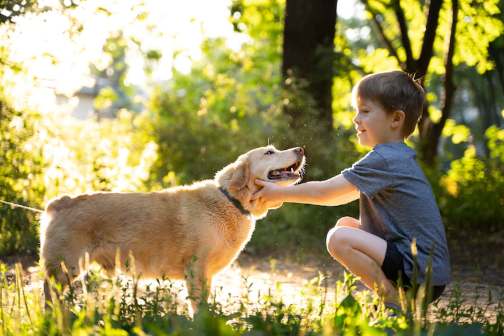 Una certeza indiscutible es que el vínculo entre humanos y animales se remonta miles de años atrás y luego del vínculo social es quizá el segundo más importante en la vida del hombre