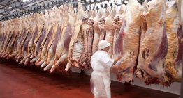 Argentina avanza en la apertura del mercado chino para exportar más productos cárnicos