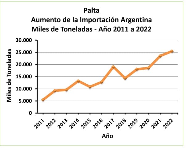 Desde el 2011, el consumo de palta hass no para de crecer en la Argentina. Este es el dato de las importaciones, que explican hoy el 92% de lo que se consume, dicen en Nukor