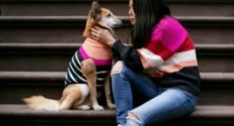 Por qué no hay que saludar al perro al llegar a casa, según un entrenador canino