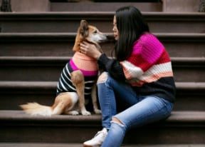 Por qué no hay que saludar al perro al llegar a casa, según un entrenador canino