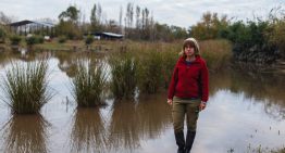 “Caímos, pero nos estamos levantando”. Así se recupera San Antonio de Areco después de la peor inundación de la década