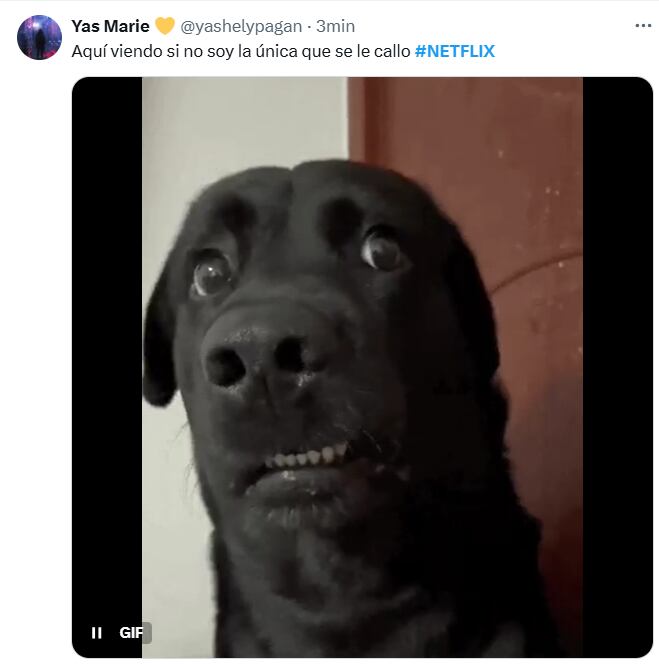 Memes 2