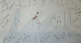 Horror en Villa Crespo: qué hizo Laura Leguizamón después de matar a su marido y a sus dos hijos
