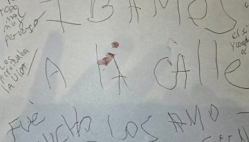 Horror en Villa Crespo: qué hizo Laura Leguizamón después de matar a su marido y a sus dos hijos