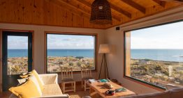 La costa azul patagónica: novedades de una región poco explorada a orillas del mar