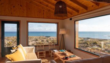 La costa azul patagónica: novedades de una región poco explorada a orillas del mar