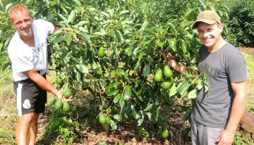 Emprendedores: se metieron en el negocio de la fruta de moda e invierten para que haya cada vez más producción argentina