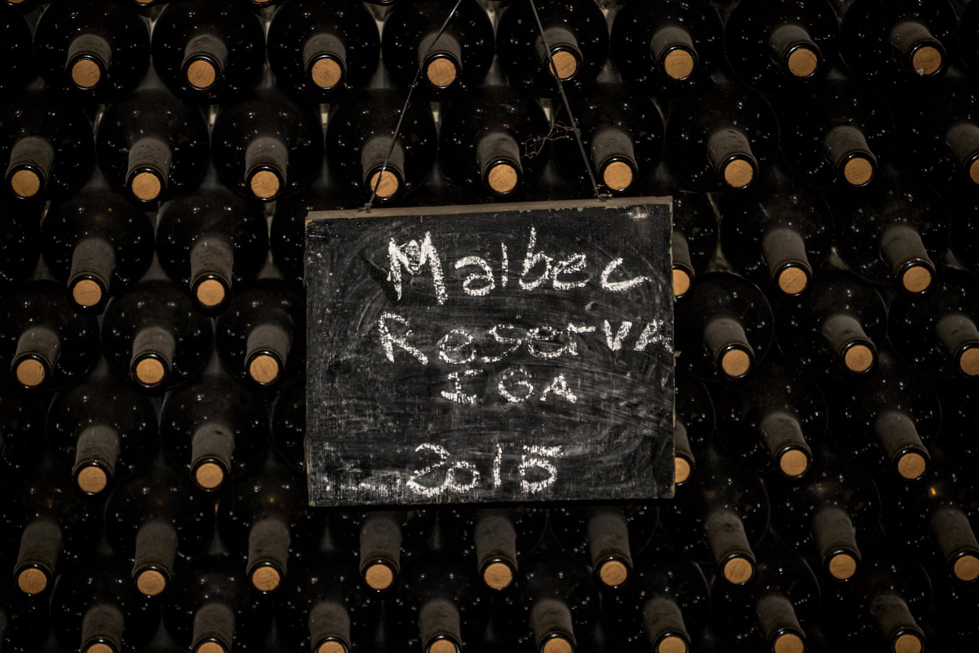 wines stored in cellar