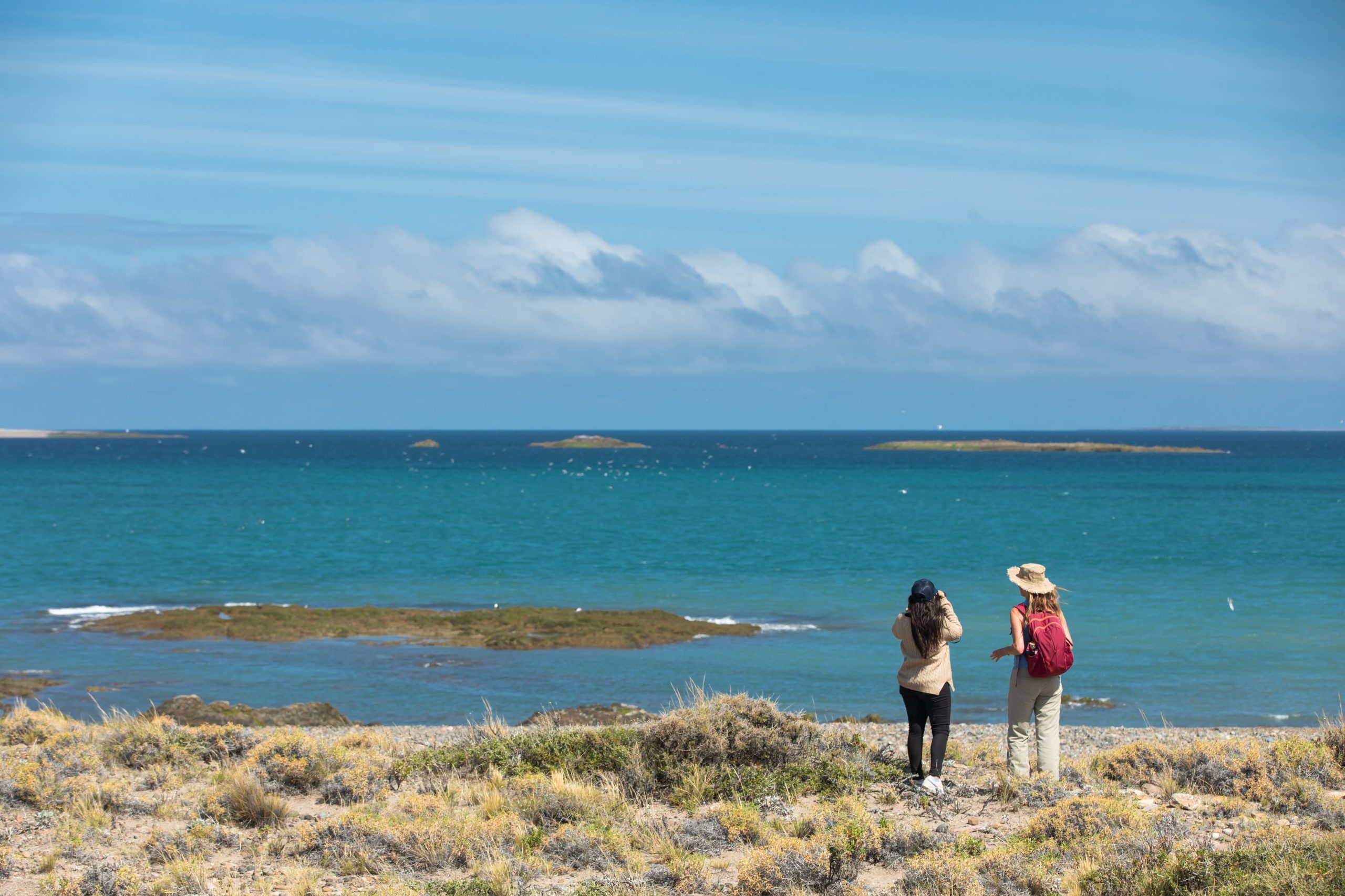 El mar muestra muchas cosas: bichitos sobre las piedras, caracoles, cangrejos y variedades de algas. 