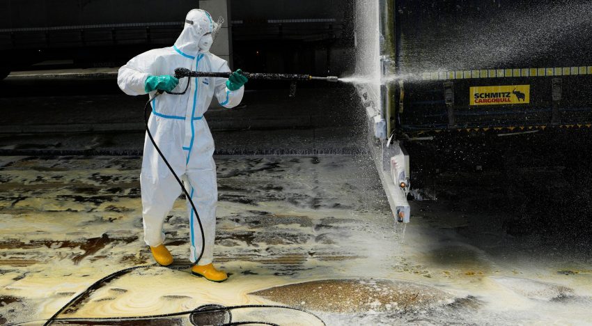 La FAO pidió reforzar la bioseguridad por nuevos brotes de fiebre aftosa