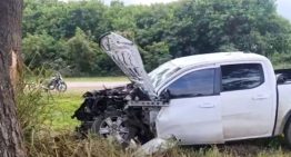 Tragedia: murió un importante empresario salteño ligado al campo tras chocar contra un toro en una ruta nacional