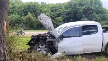 Tragedia: murió un importante empresario salteño ligado al campo tras chocar contra un toro en una ruta nacional