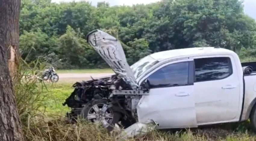 Tragedia: murió un importante empresario salteño ligado al campo tras chocar contra un toro en una ruta nacional
