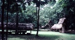 Cueva de Sangre: el hallazgo arqueológico que reveló la práctica de rituales entre los mayas