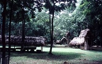 Cueva de Sangre: el hallazgo arqueológico que reveló la práctica de rituales entre los mayas