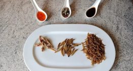 Cuántos insectos deberíamos consumir para sustituir nutritivamente a la carne de pollo, cerdo o vaca