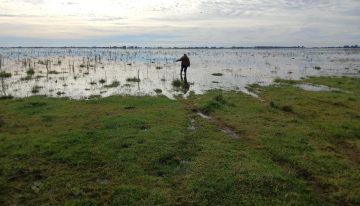 “Chorearon por 30 años”: el fuerte mensaje de una productora porque no se terminaron obras contra las inundaciones