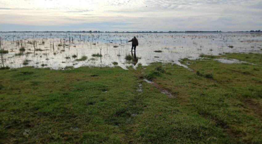 “Chorearon por 30 años”: el fuerte mensaje de una productora porque no se terminaron obras contra las inundaciones