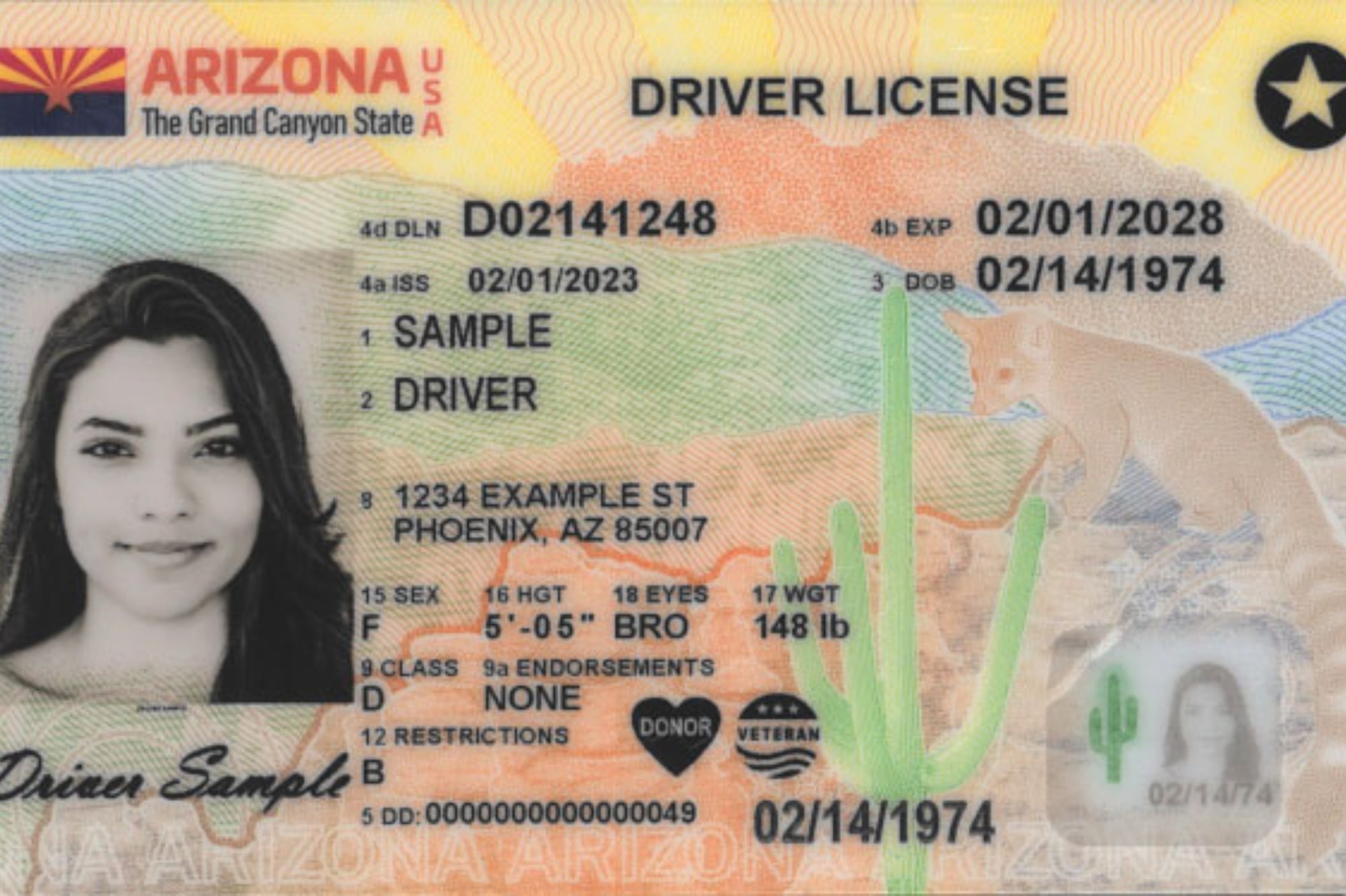 Las locaciones para obtener la Real ID en Arizona antes del 7 de mayo son varias (Archivo)