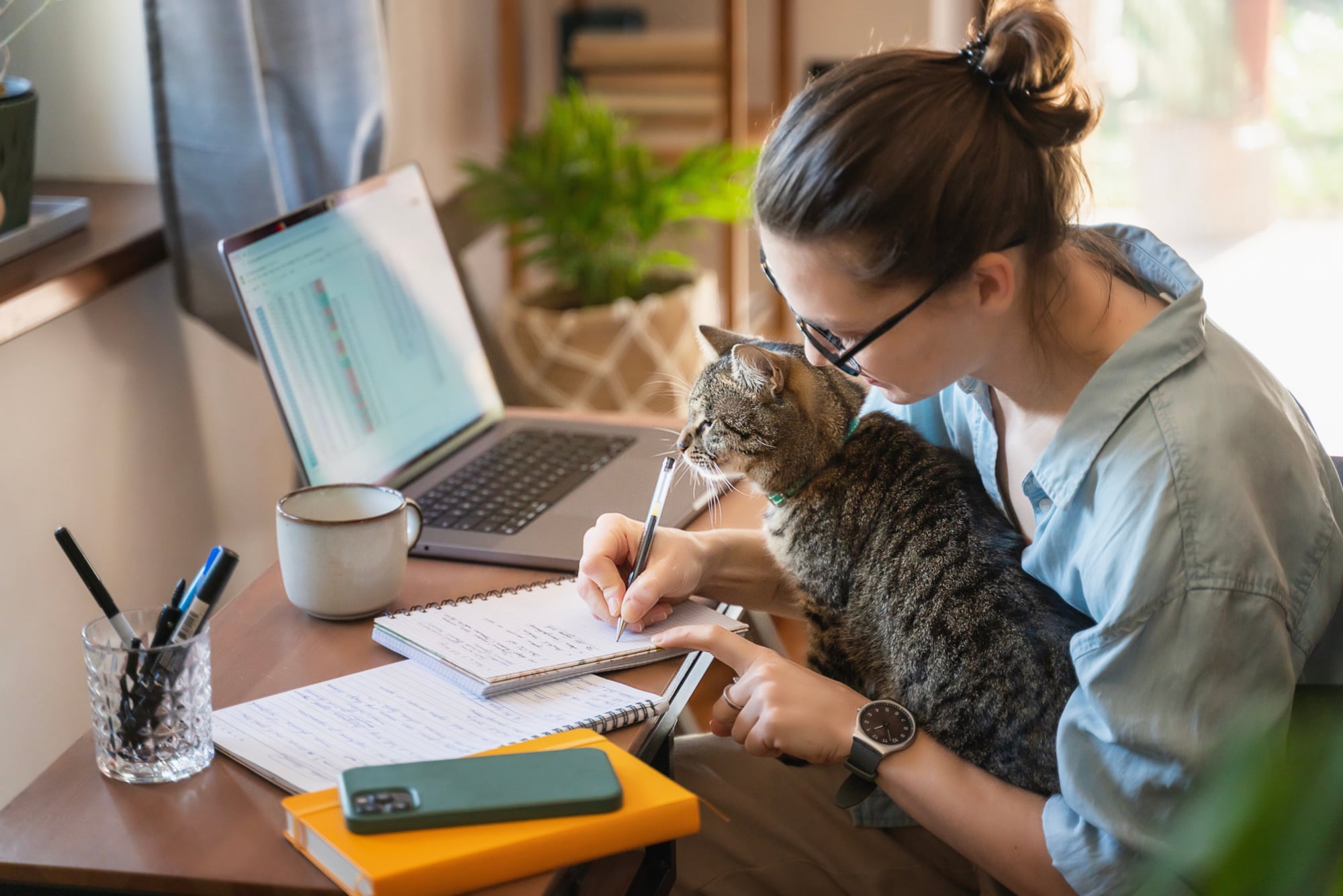 Aquellos que prefieren a los gatos son personas que se manejan mejor con interacciones de baja intensidad