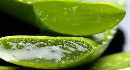 Los 6 antiinflamatorios naturales que se pueden usar para terminar con el dolor de rodilla