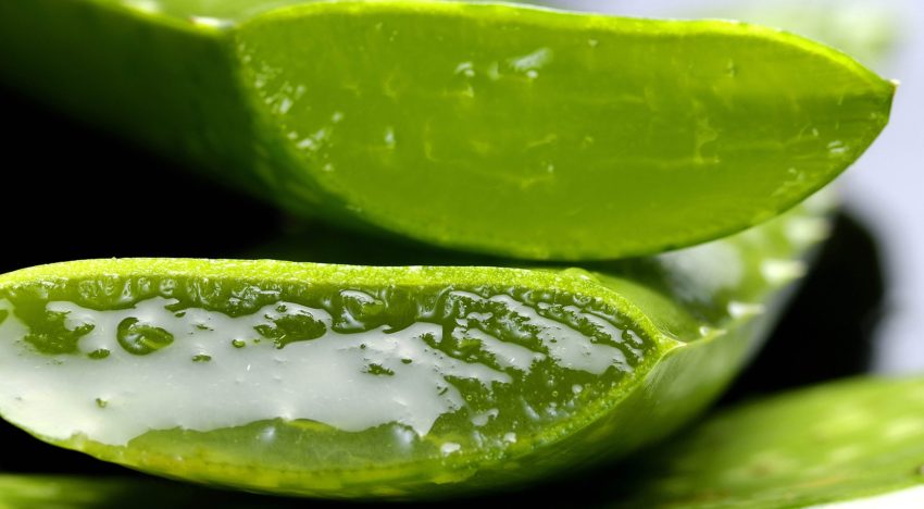 Los 6 antiinflamatorios naturales que se pueden usar para terminar con el dolor de rodilla
