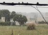 Nieve en la costa de la provincia de Buenos Aires: los videos más impactantes