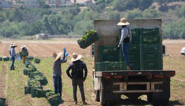 La increíble cifra que podría perder California tras la persecución a migrantes latinos y las deportaciones