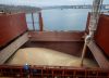 Nace un gigante: China autorizó la megafusión Bunge-Viterra y revoluciona el comercio de granos