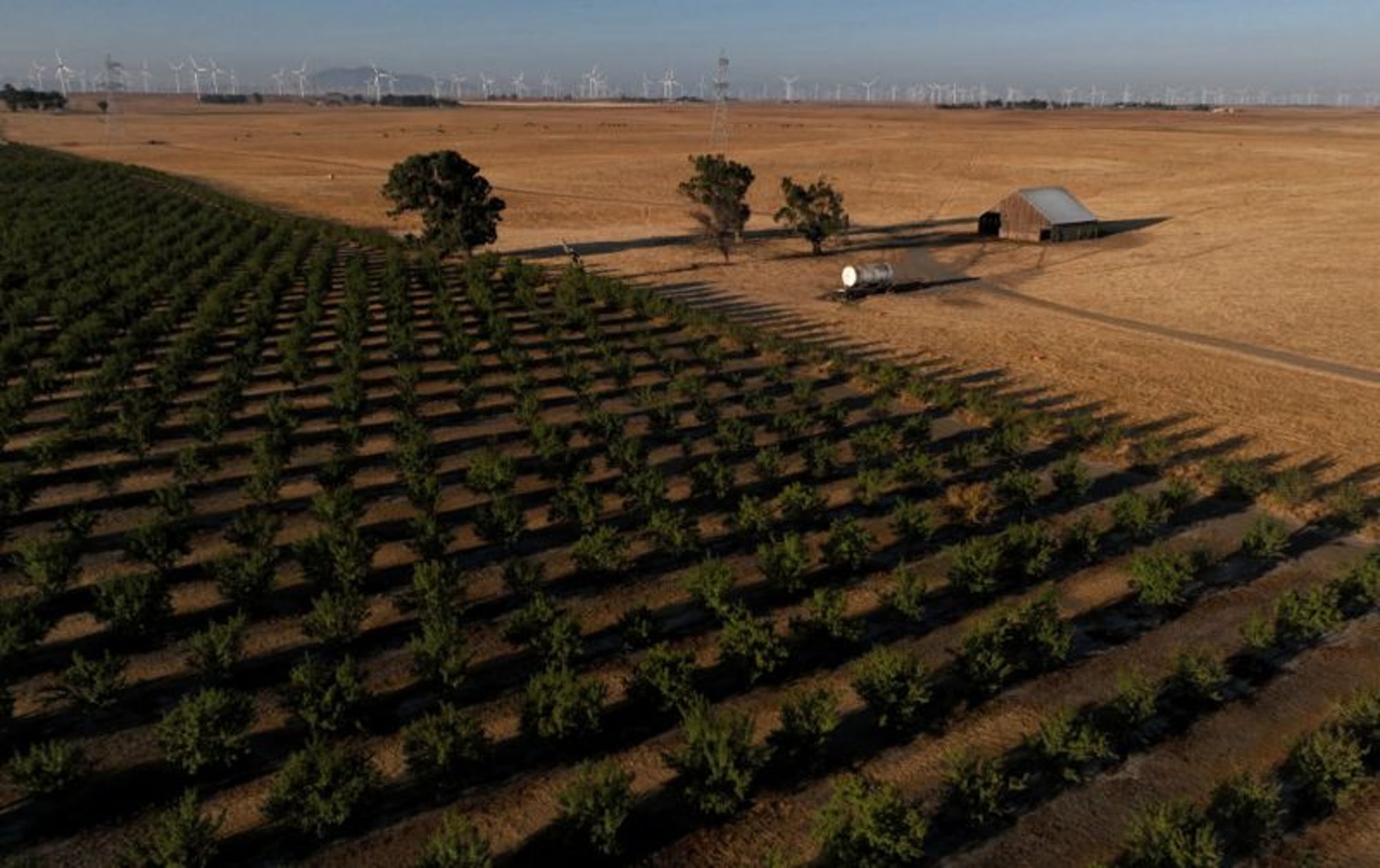 Flannery Associates compró durante cinco años 20.000 hectáreas de terrenos agrícolas en el condado de Solano.