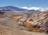 San Guillermo: el parque nacional de alta montaña que recibe 11 personas por día y es el reino de las vicuñas