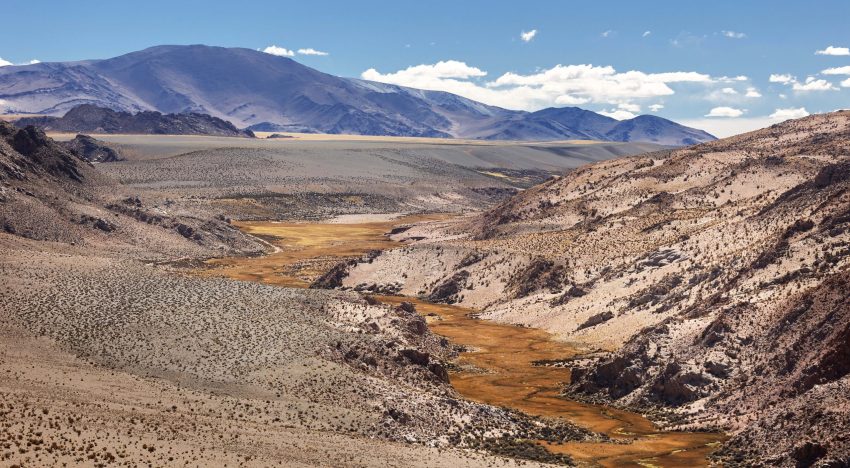 San Guillermo: el parque nacional de alta montaña que recibe 11 personas por día y es el reino de las vicuñas