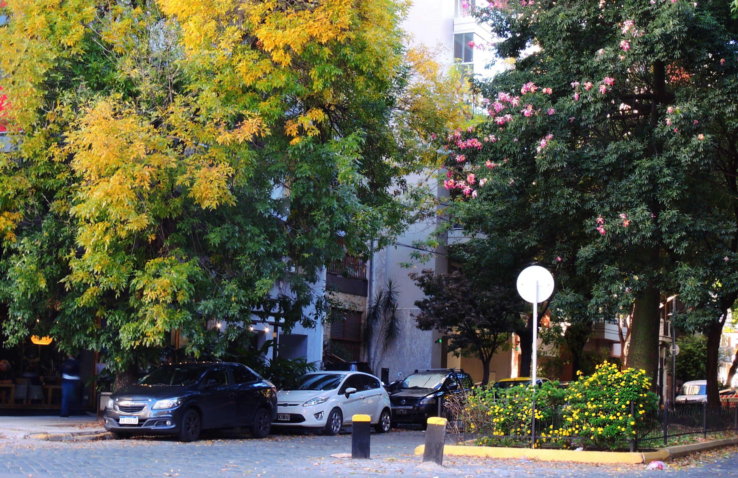 El bulevar de la calle Mendoza.