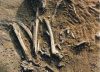 Descubren en Colombia esqueletos de 6000 años con un ADN desconocido hasta la fecha