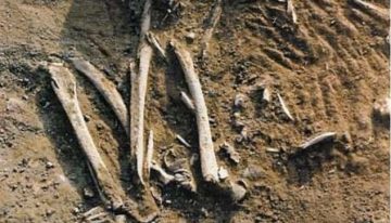 Descubren en Colombia esqueletos de 6000 años con un ADN desconocido hasta la fecha