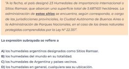 Pruebas Aprender. Qué ejercicios incluyó la evaluación de lengua y cómo les fue a los alumnos
