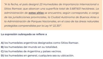 Pruebas Aprender. Qué ejercicios incluyó la evaluación de lengua y cómo les fue a los alumnos