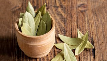 Dónde hay que poner hojas de laurel en casa para atraer la abundancia, según el Feng Shui