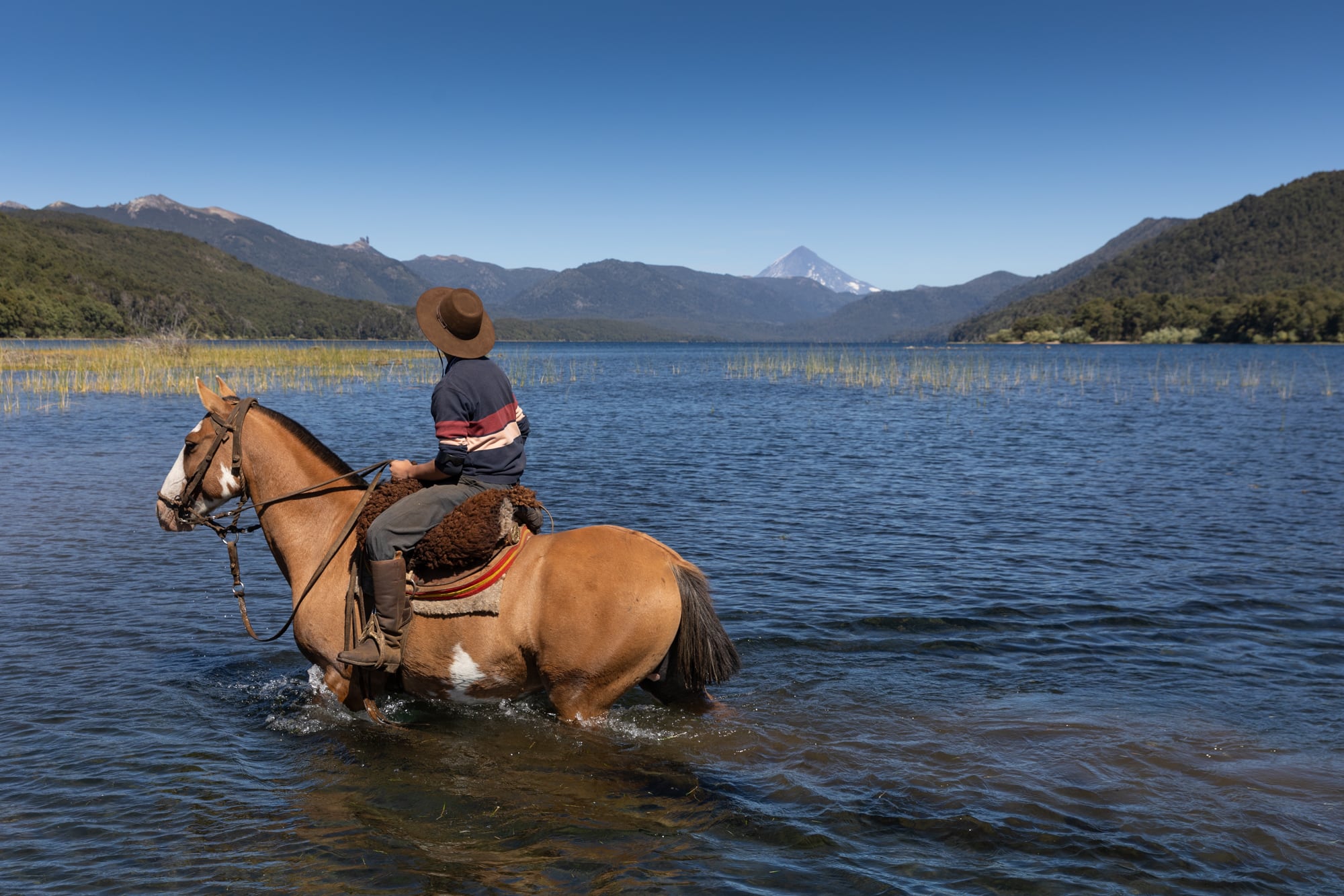 Uno de los puntos fuertes de la cabalgata es el cruce del lago Quillén, con el Lanín de fondo.