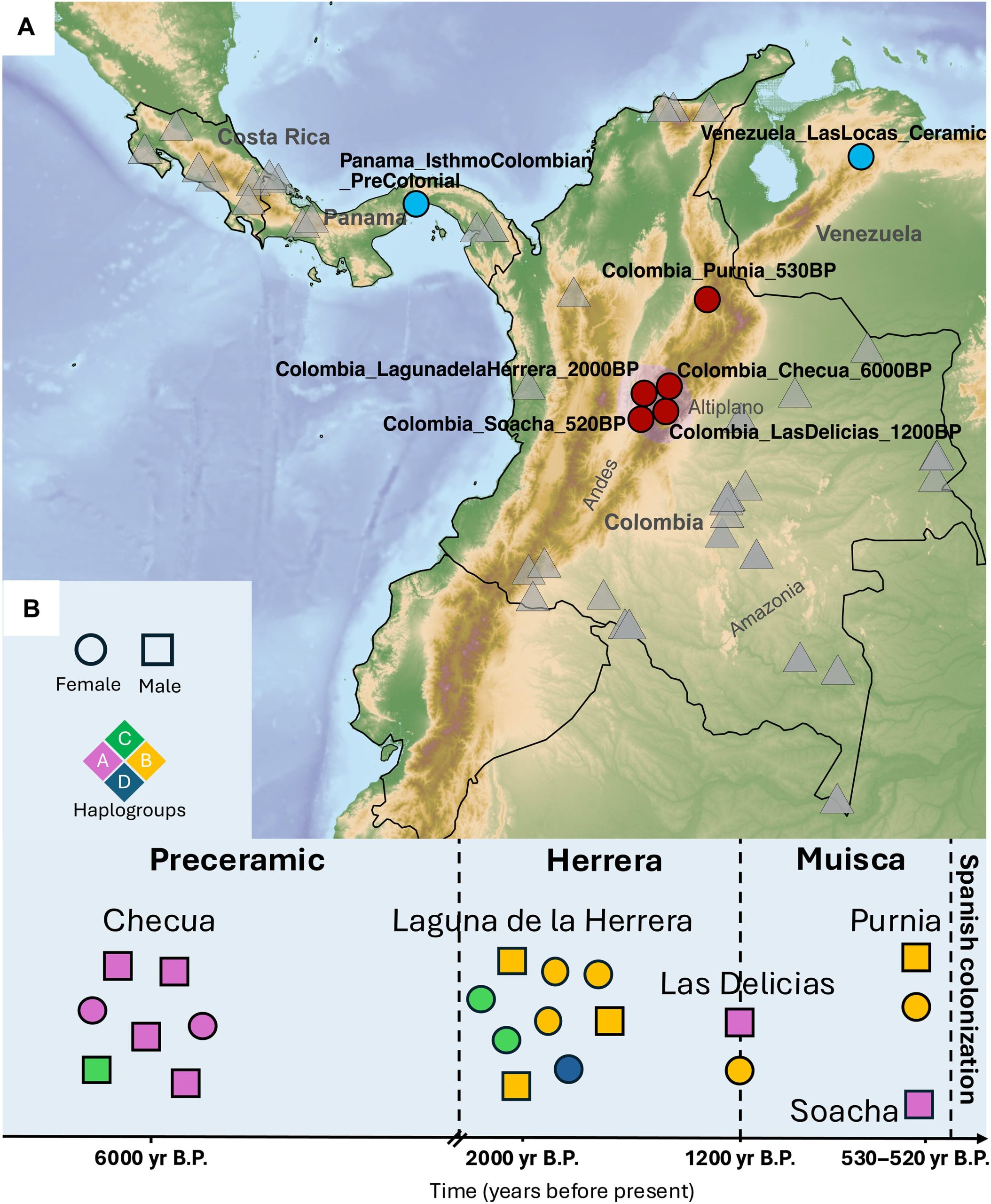 Mapa del Altiplano de Bogotá con los puntos donde se hallaron los restos óseos