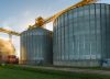 Medida. Los Grobo Agropecuaria pediría su procedimiento preventivo de crisis y apura un negocio con un gigante de Brasil
