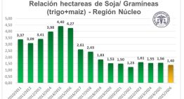 Los agricultores vuelven a rotar cultivos: más gramíneas, menos soja