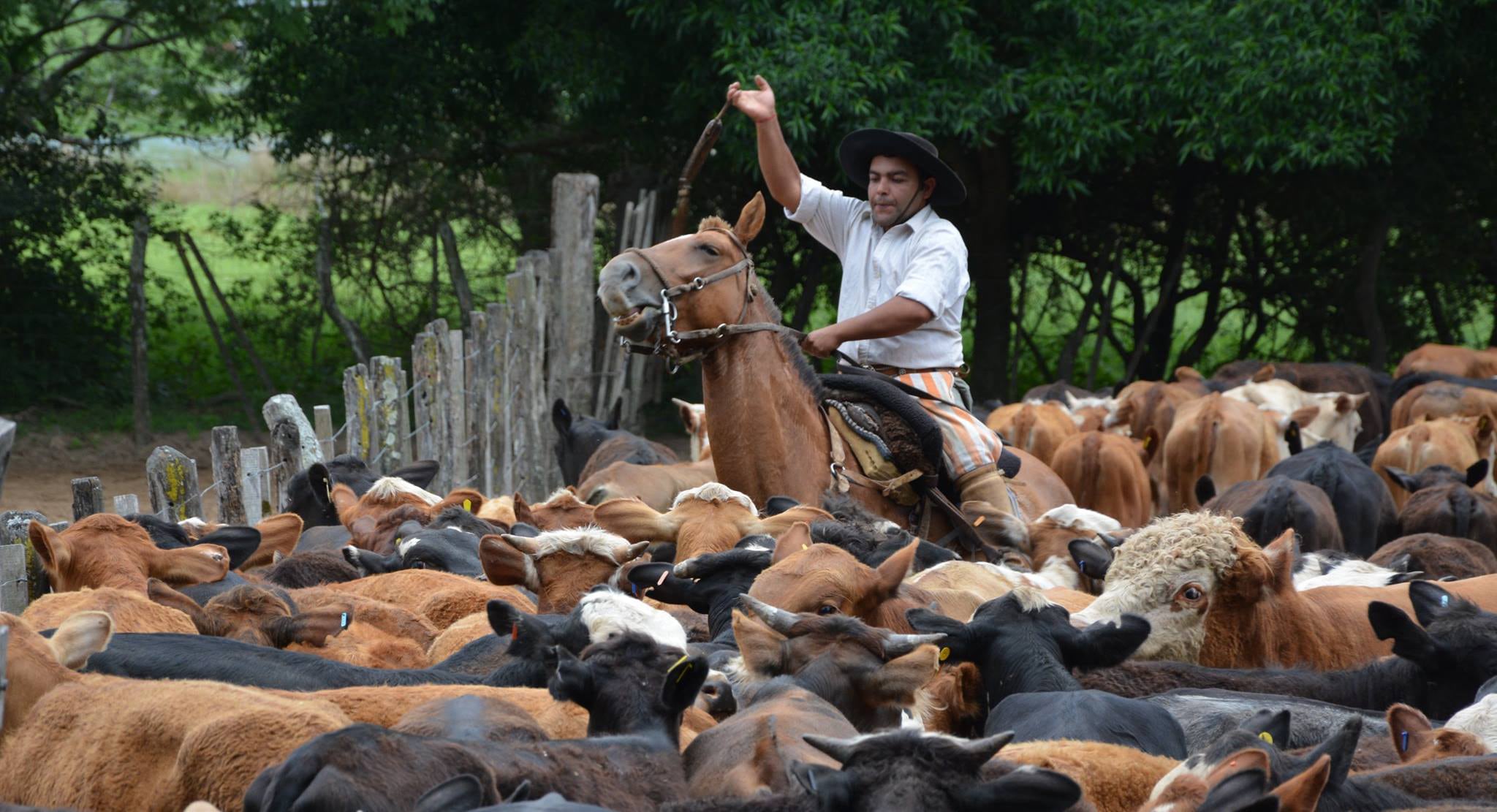 La cabalgata que organizan desde La Rosita invita a descubrir lo más autentico del campo argentino.