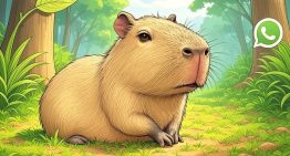 Así se puede activar el “modo Capibara” en WhatsApp en julio 2025