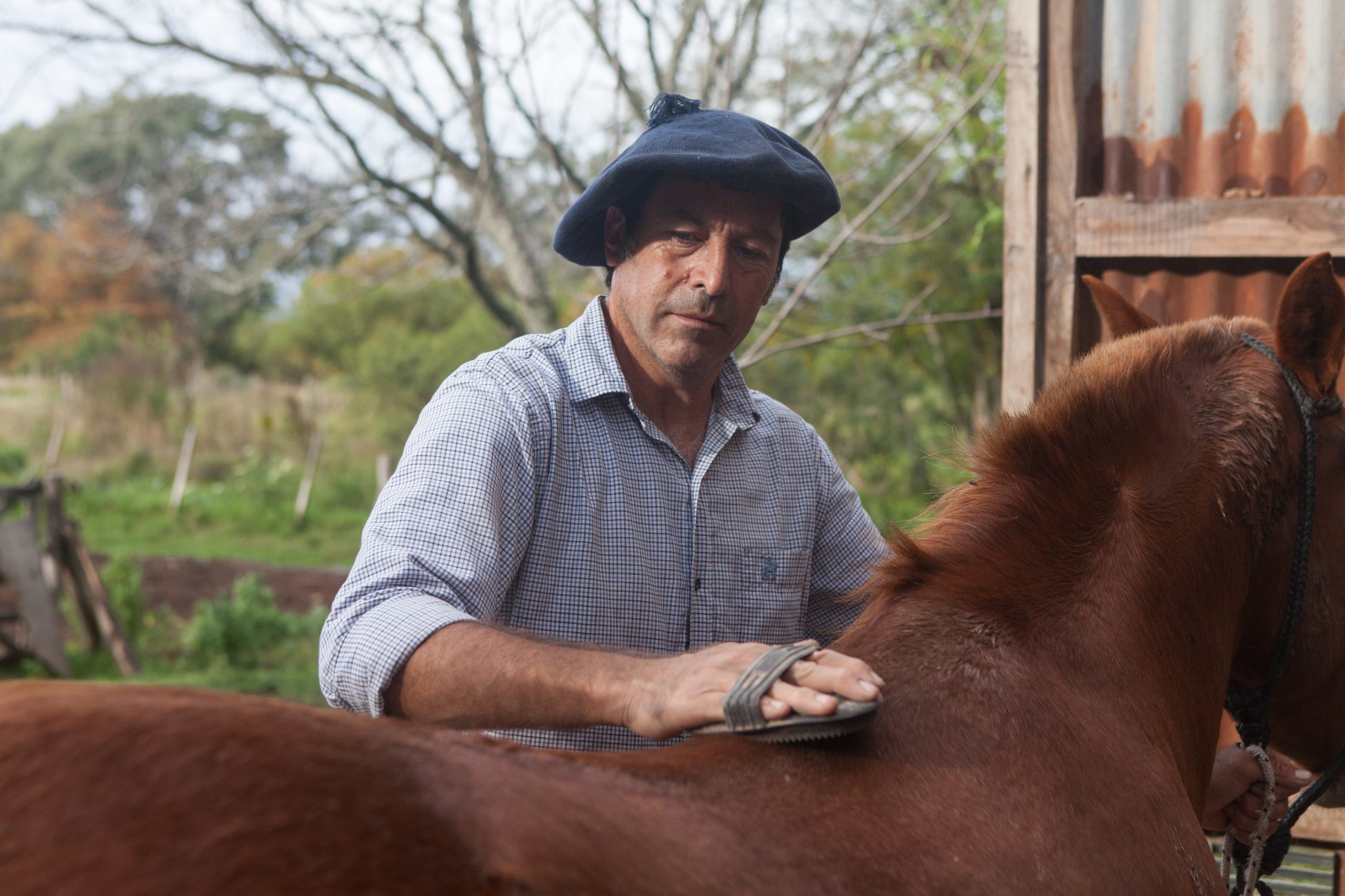 Ernesto Astorga está a cargo de los caballos, entre otras cosas.
