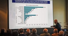 “Venden agua y tierra virtual”: un experto brasileño dijo que la Argentina tiene una oportunidad histórica para exportar carne
