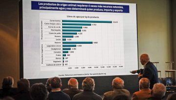 “Venden agua y tierra virtual”: un experto brasileño dijo que la Argentina tiene una oportunidad histórica para exportar carne