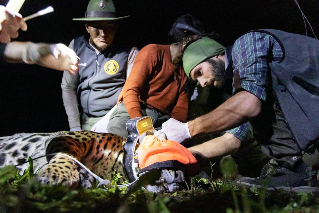 Santiago cada día trabaja por la conservación de la naturaleza.